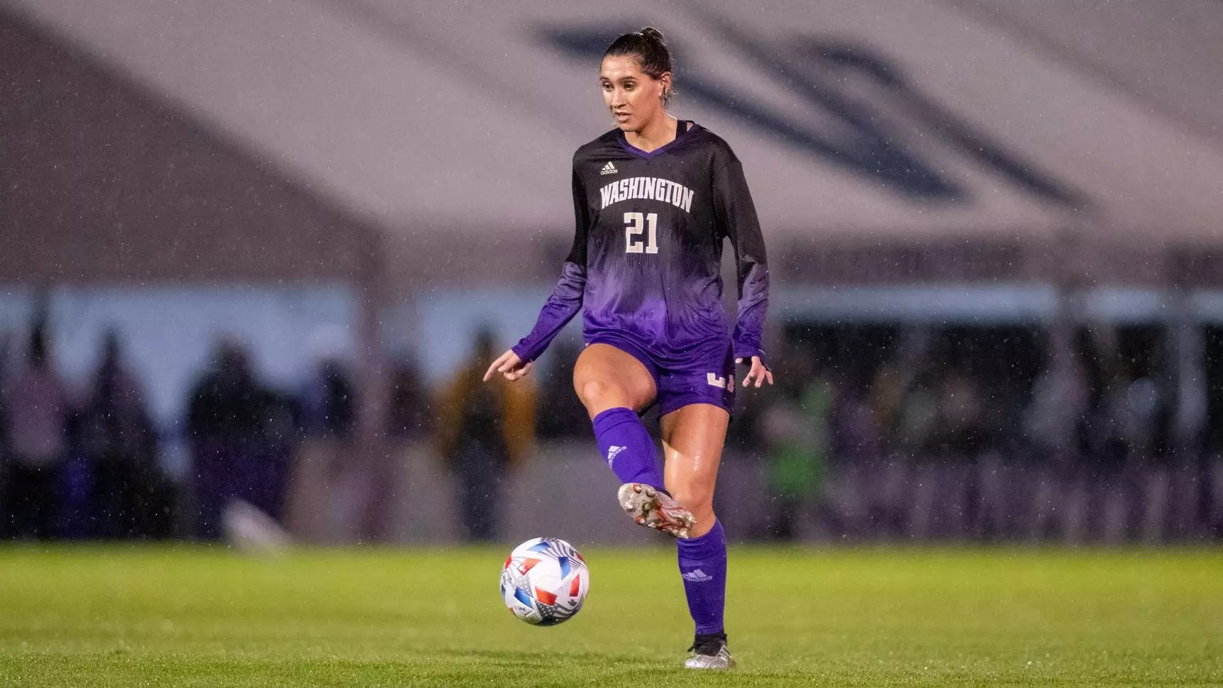 现了质的飞 现了质的飞