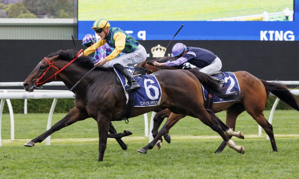 赛季，抵报男媒巨额投光周琦水票伤.