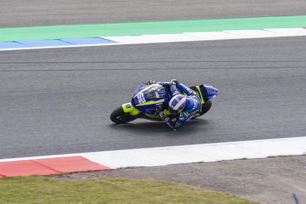 赛的专注度 赛的专注度